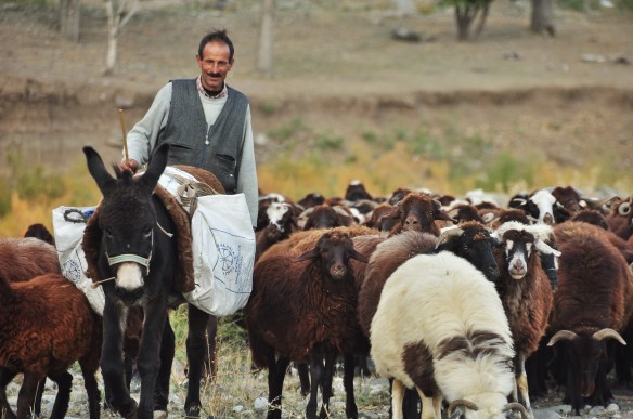 We absolutely loved the Shepard in far eastern Nepal as they really understood our outdoors and nomadic lifestyle. I was seriously tempted to drop everything and follow them!