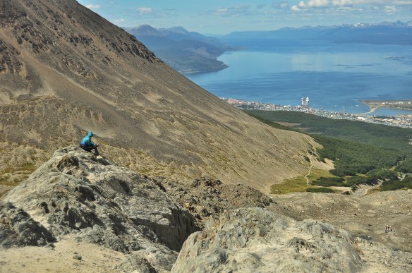 This guy just looked so peaceful up there!