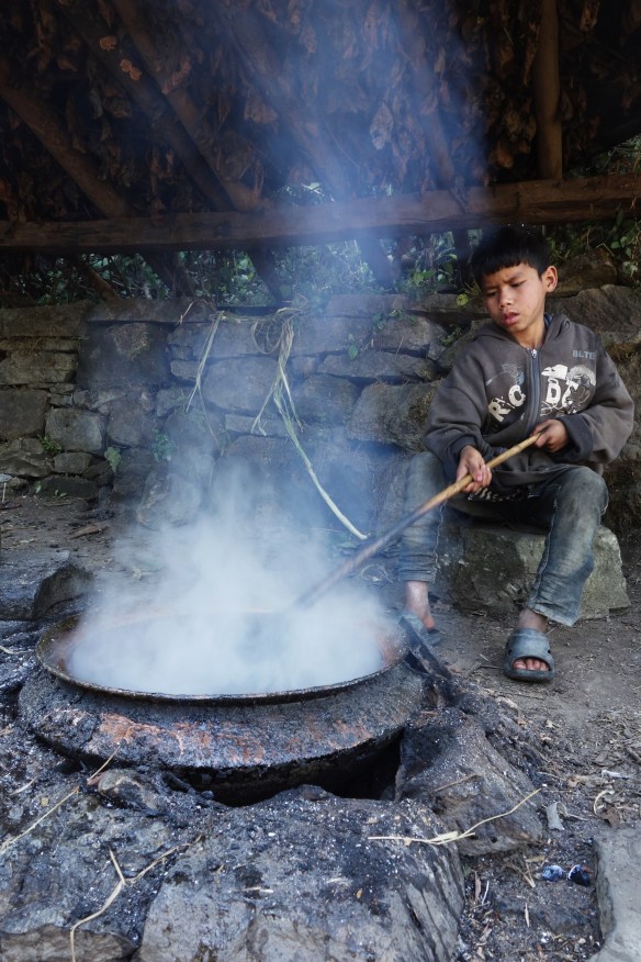 When I arrived they were boiling surgar cane juice to make a very sweet brown sugar which they served of me on a leaf.