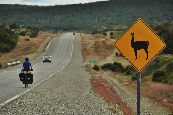 Guanaco crossing sign!