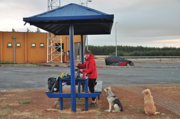 The truck stops also came with dogs! Super cute awesome little dogs!