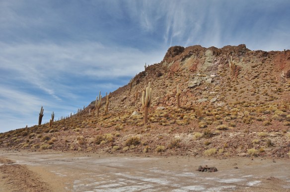 Island number two, which was all ours!