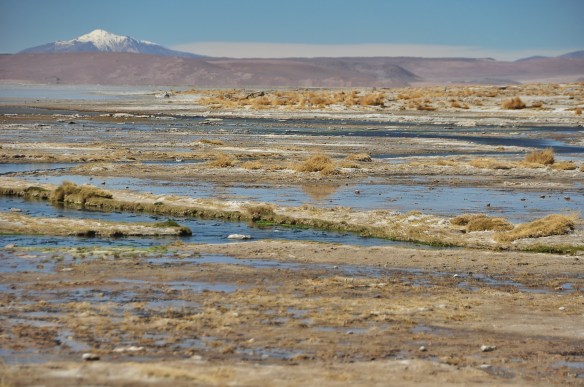 Another hot springs, though these ones have now been commercialized and charge to use. There were 30+ people in them when we went by as the jeeps had all stopped there for lunch.