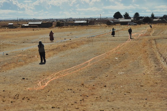 Bad lighting, but I feel like a bunch of people making cord in the middle of a field is a once in a lifetime sort of thing to see!