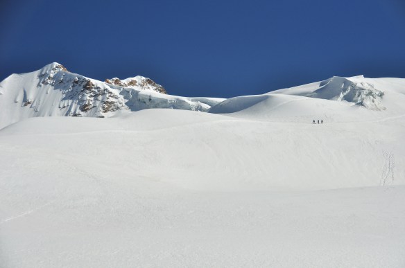 Coming down the morning.