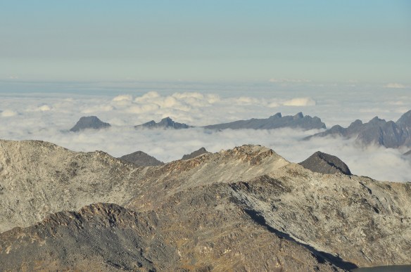 The cloud covered Yungas.
