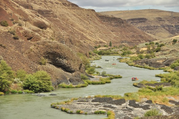 The Deschutes river. Next time we come back it will be with kayakas or a raft (and our bikes for a shuttle). This is the most popular river to float in Oregon because there are many 2-3 level rapids all in a row.