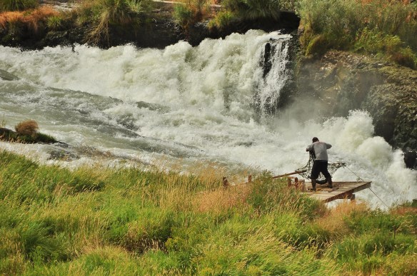 We passed through a Native American reservation where we saw this guy fishing with a net (which they are allowed to do). We saw him catch a huge salmon which was neat!