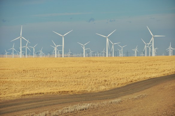 There were windmills for as far as the eye could see on every ridge during our last dozen kilomters. This region is known for being extremely windy.