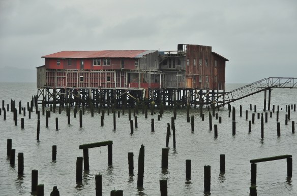 Astoria use to have a booming economy and many of these old canaries are now old empty buildings, while others have been restored as restaurants.