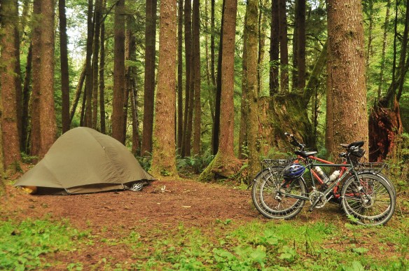 Camping in the forest. Though I prefer the mountains, the forest is Kevin's very favorite spot.