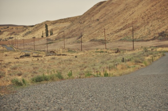 We were so excited to find a whole network of gravel country roads wherever we went.